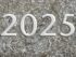 Forskudsopgørelse 2025